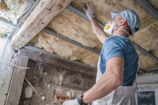 Best Insulation Contractors for Homes  in Beaver, PA