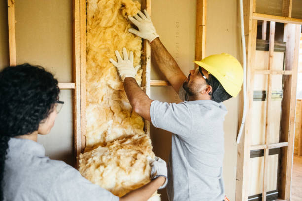 Best Insulation Inspection Services  in Beaver, PA